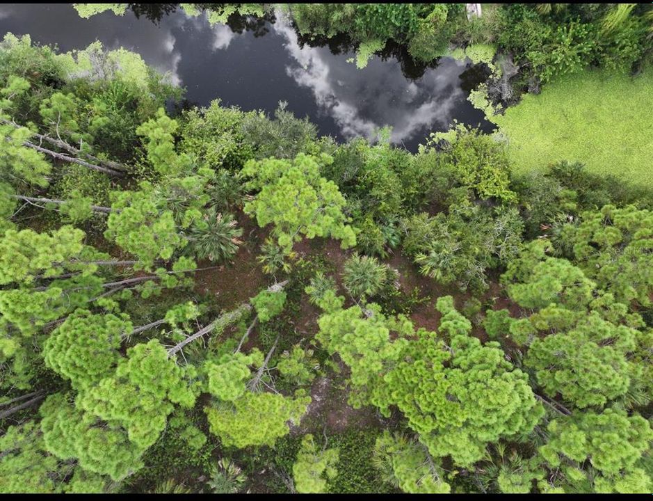 For Sale: $50,000 (0.24 acres)