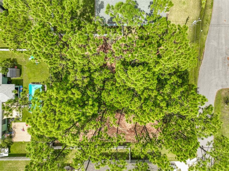 Под контрактом: $79,000 (0.23 acres)