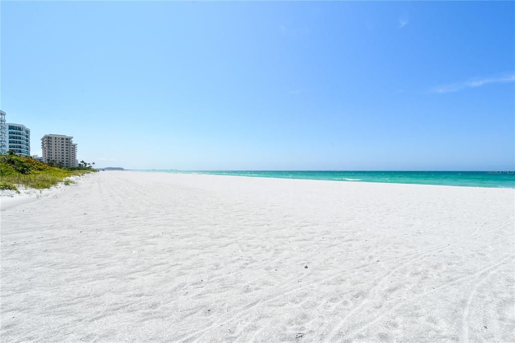 На продажу: $2,675,000 (3 спален, 3 ванн, 1842 Квадратных фут)