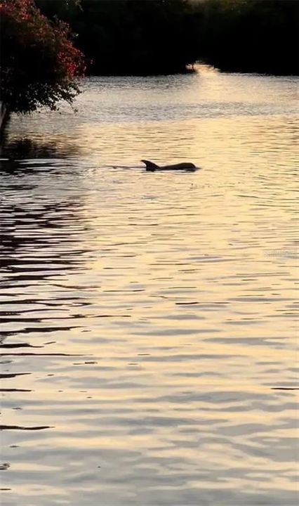 En Venta: $615,000 (3 camas, 2 baños, 2030 Pies cuadrados)