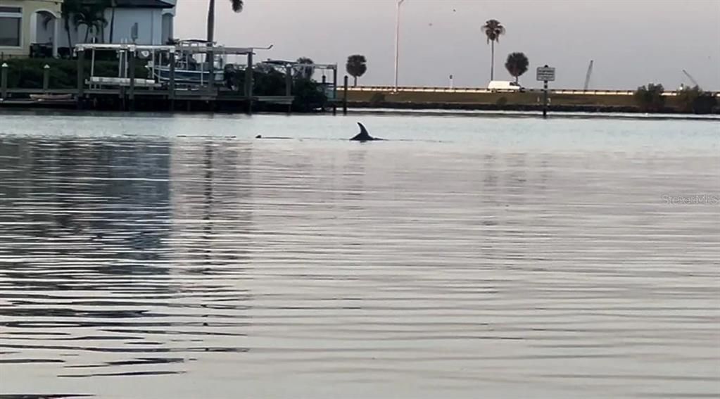 En Venta: $615,000 (3 camas, 2 baños, 2030 Pies cuadrados)