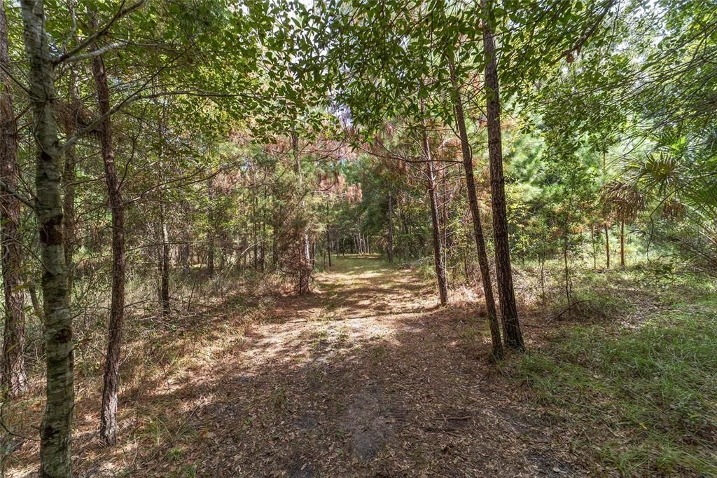 待售: $1,950,000 (3 贝兹, 2 浴室, 2588 平方英尺)