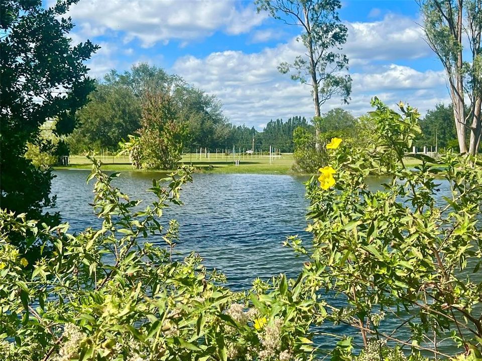 На продажу: $799,000 (2.41 acres)