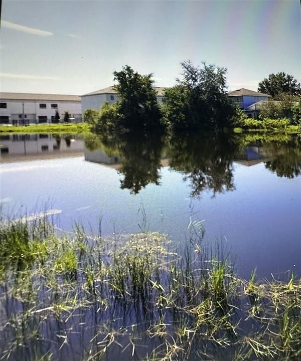 На продажу: $799,000 (2.41 acres)