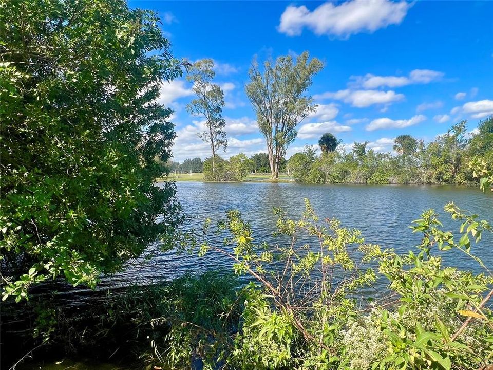 На продажу: $799,000 (2.41 acres)