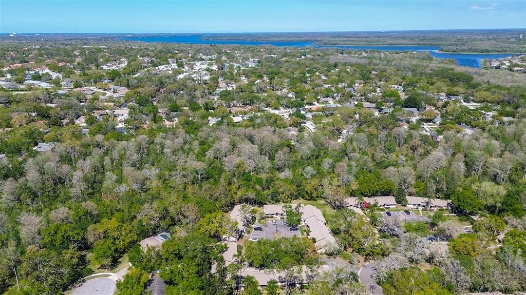 Activo con contrato: $269,900 (3 camas, 2 baños, 1304 Pies cuadrados)