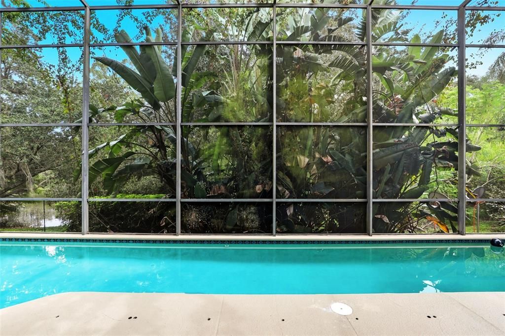 合同活跃: $1,299,000 (5 贝兹, 4 浴室, 3415 平方英尺)