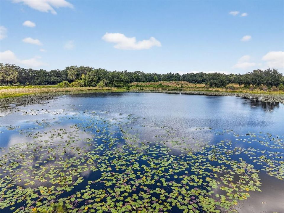 En Venta: $600,000 (32.47 acres)