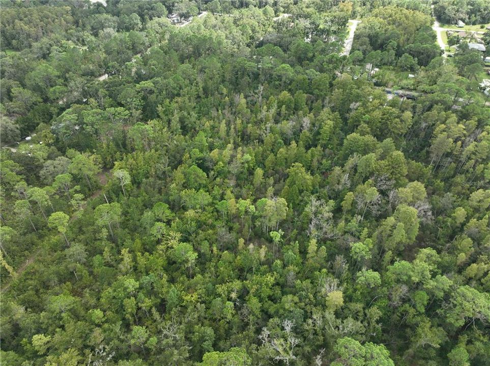 Activo con contrato: $125,000 (17.88 acres)