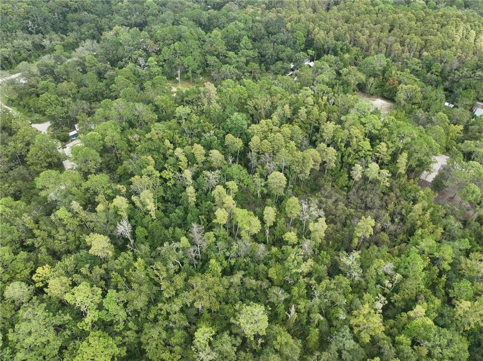 Activo con contrato: $125,000 (17.88 acres)