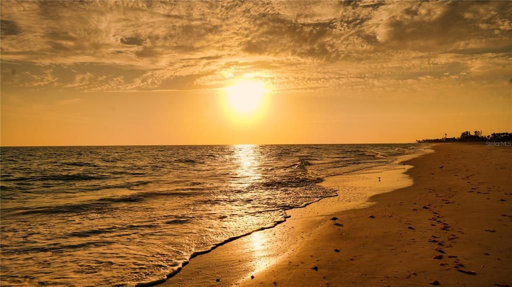 На продажу: $11,995,000 (5 спален, 5 ванн, 6959 Квадратных фут)