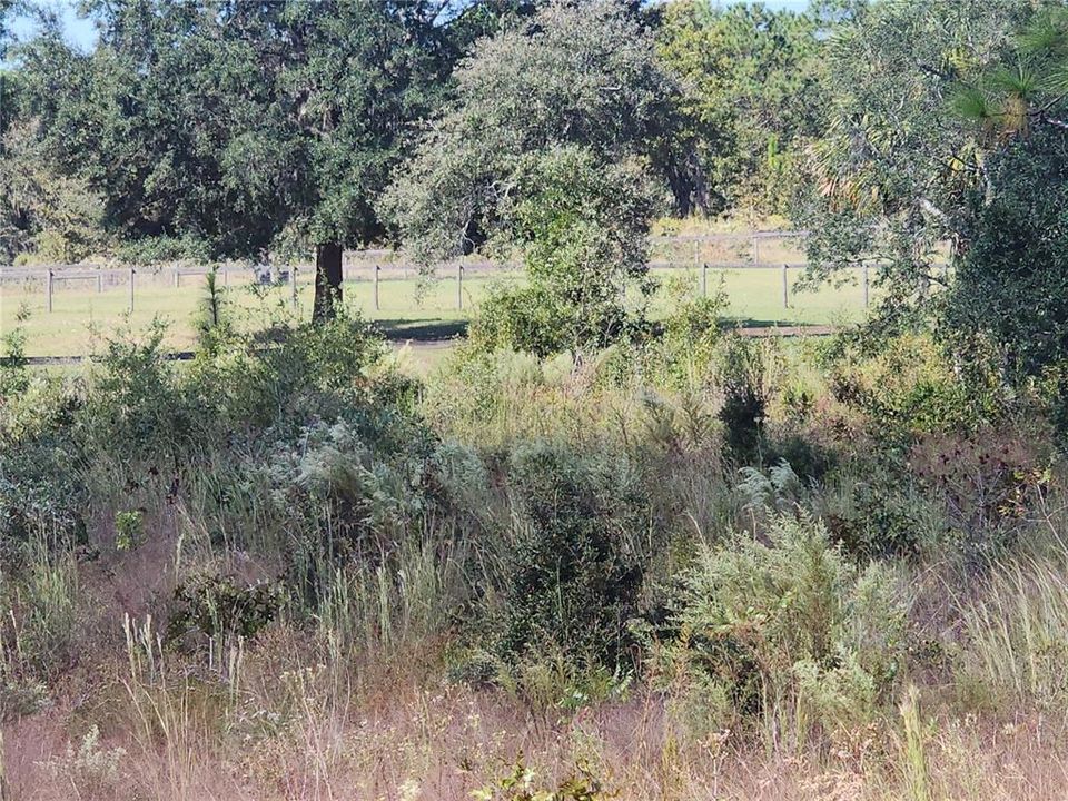 待售: $37,500 (1.02 acres)