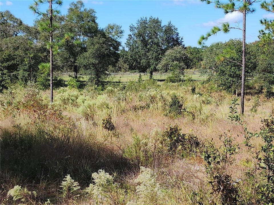 待售: $37,500 (1.02 acres)