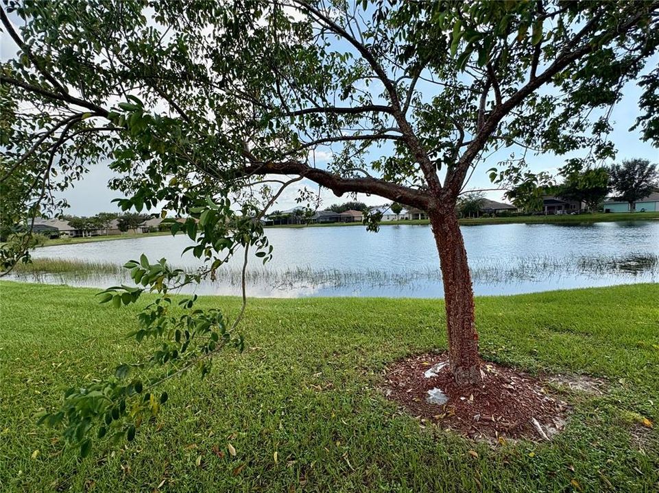 Под контрактом: $339,999 (4 спален, 3 ванн, 2199 Квадратных фут)