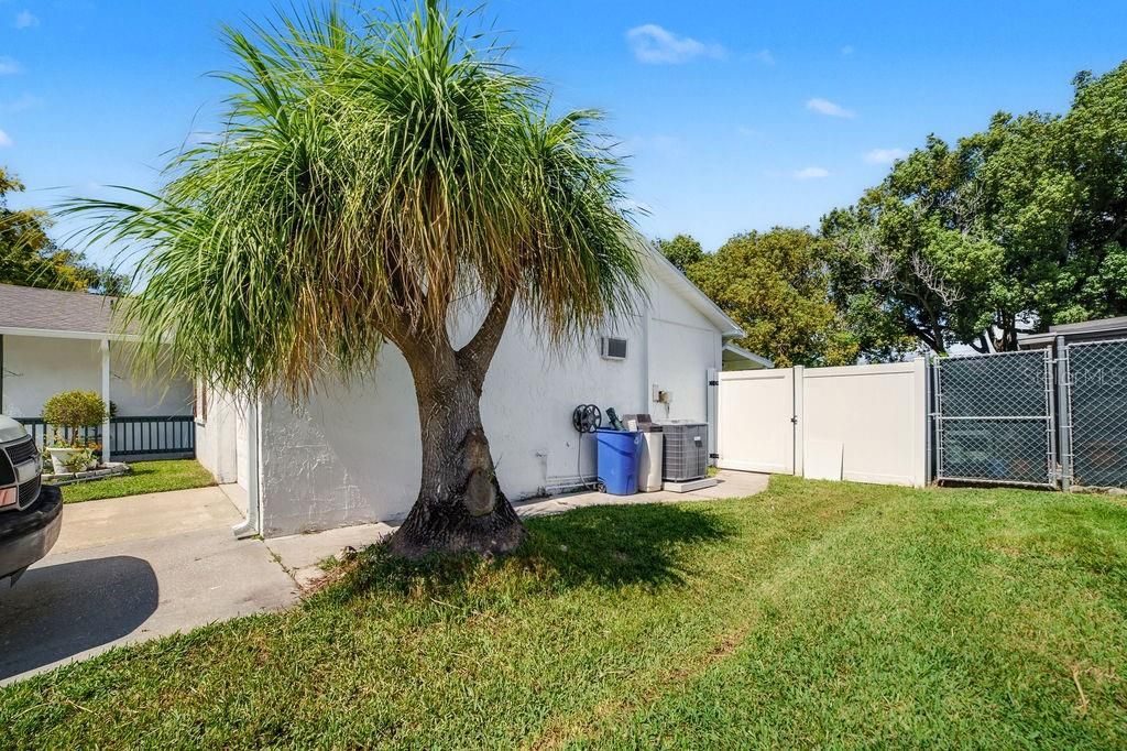 Active With Contract: $254,999 (3 beds, 2 baths, 1428 Square Feet)