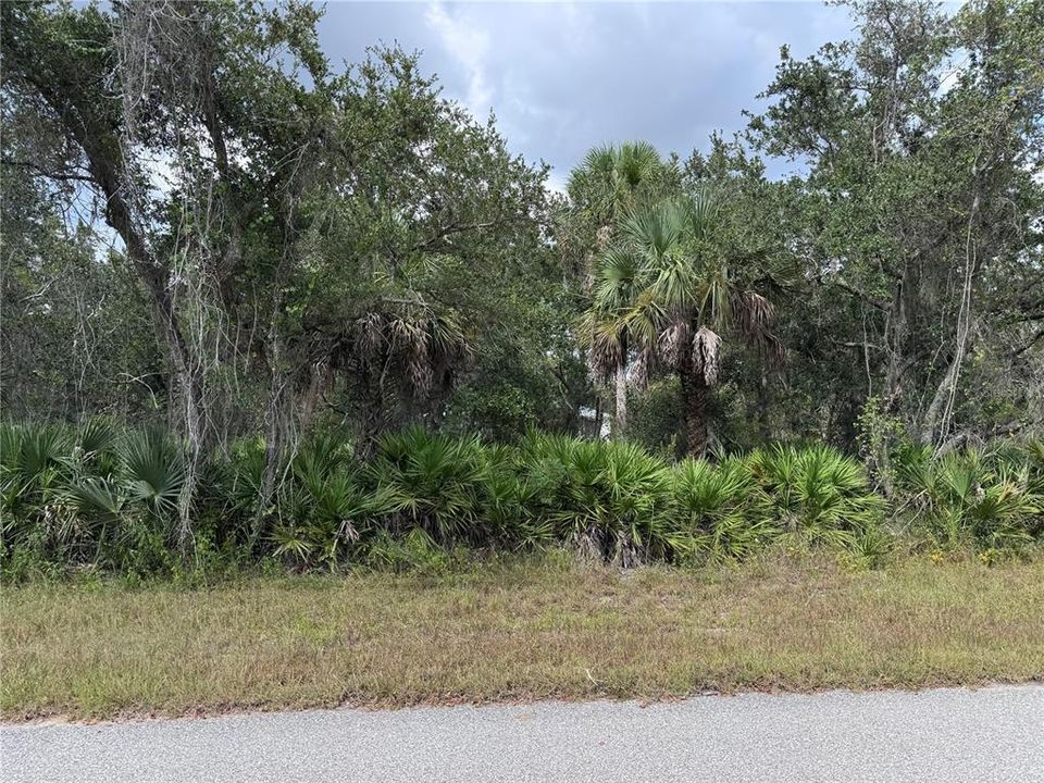 待售: $15,000 (0.23 acres)