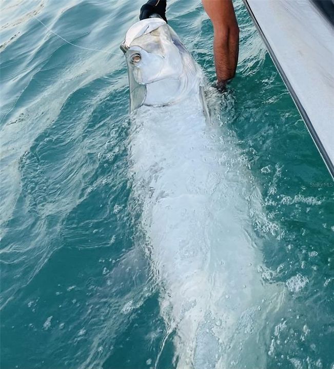 Active With Contract: $129,900 (2 beds, 2 baths, 930 Square Feet)