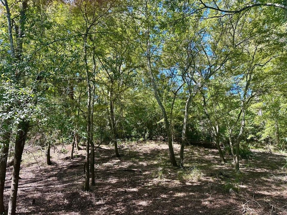 Active With Contract: $349,900 (8.26 acres)