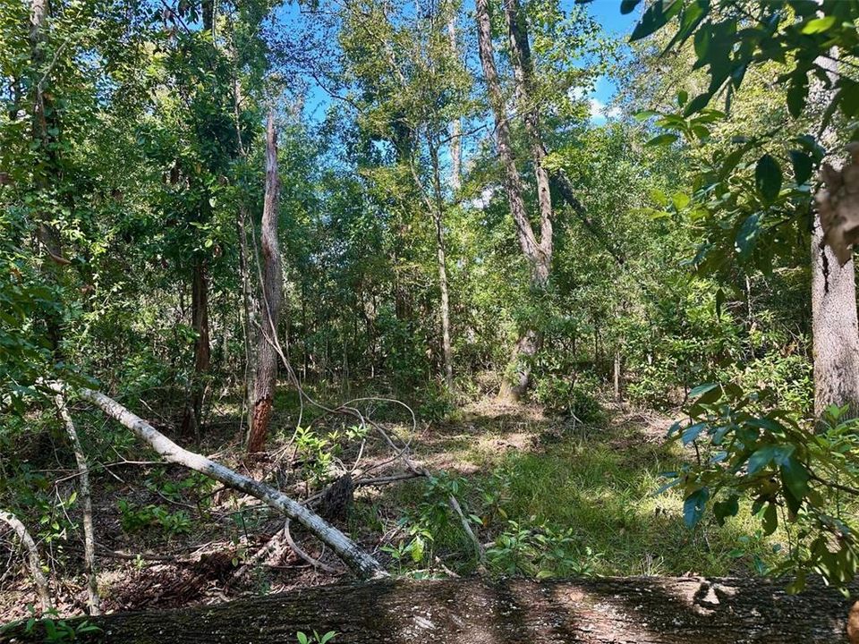 Active With Contract: $349,900 (8.26 acres)