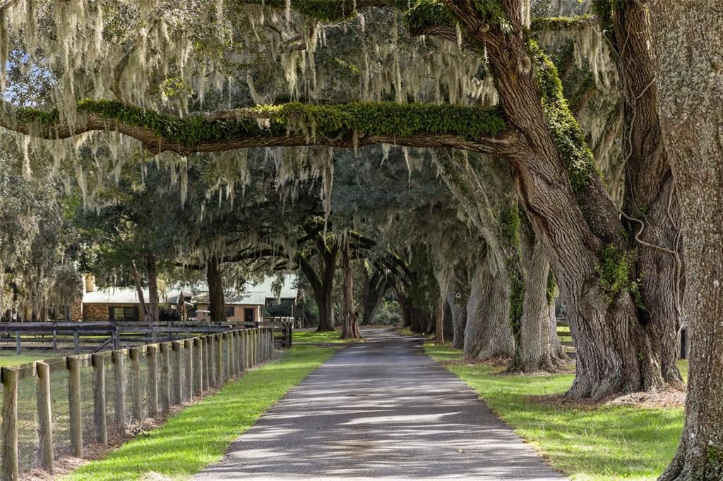 For Sale: $2,500,000 (3 beds, 2 baths, 2738 Square Feet)