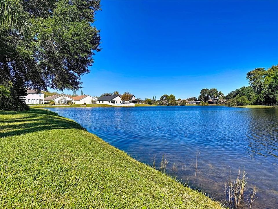 合同活跃: $420,000 (4 贝兹, 2 浴室, 1870 平方英尺)