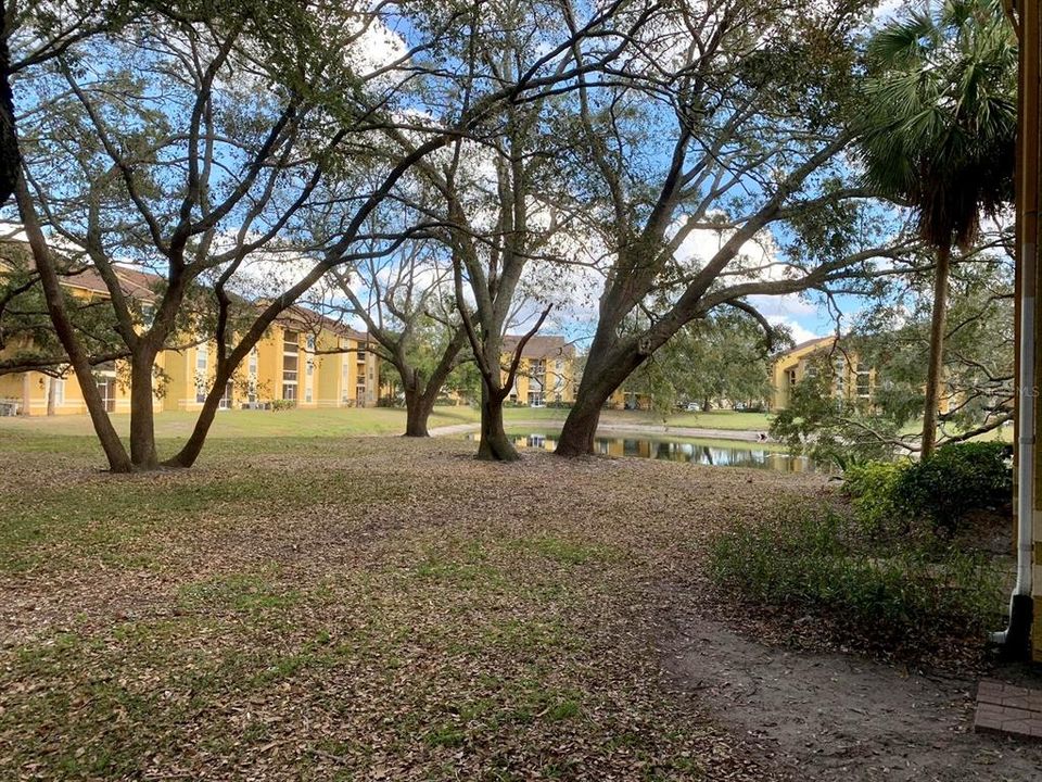 En Renta: $1,250 (1 camas, 1 baños, 665 Pies cuadrados)