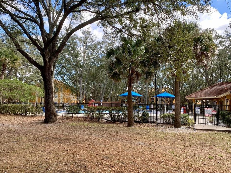 En Renta: $1,250 (1 camas, 1 baños, 665 Pies cuadrados)