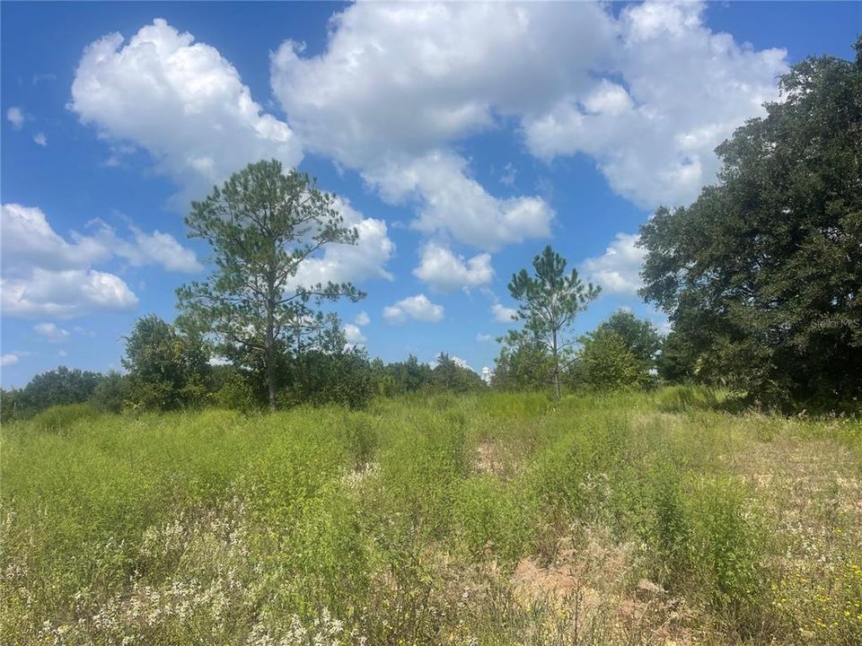 На продажу: $289,900 (5.60 acres)