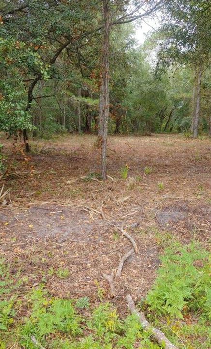 Vendido Recientemente: $92,550 (6.17 acres)