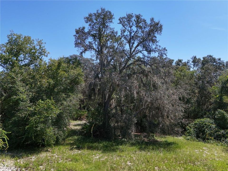 For Sale: $172,000 (2.00 acres)