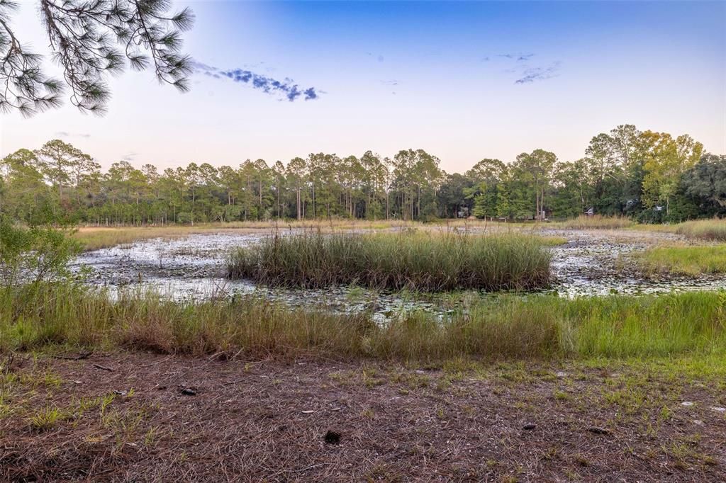 En Venta: $139,000 (2 camas, 1 baños, 672 Pies cuadrados)