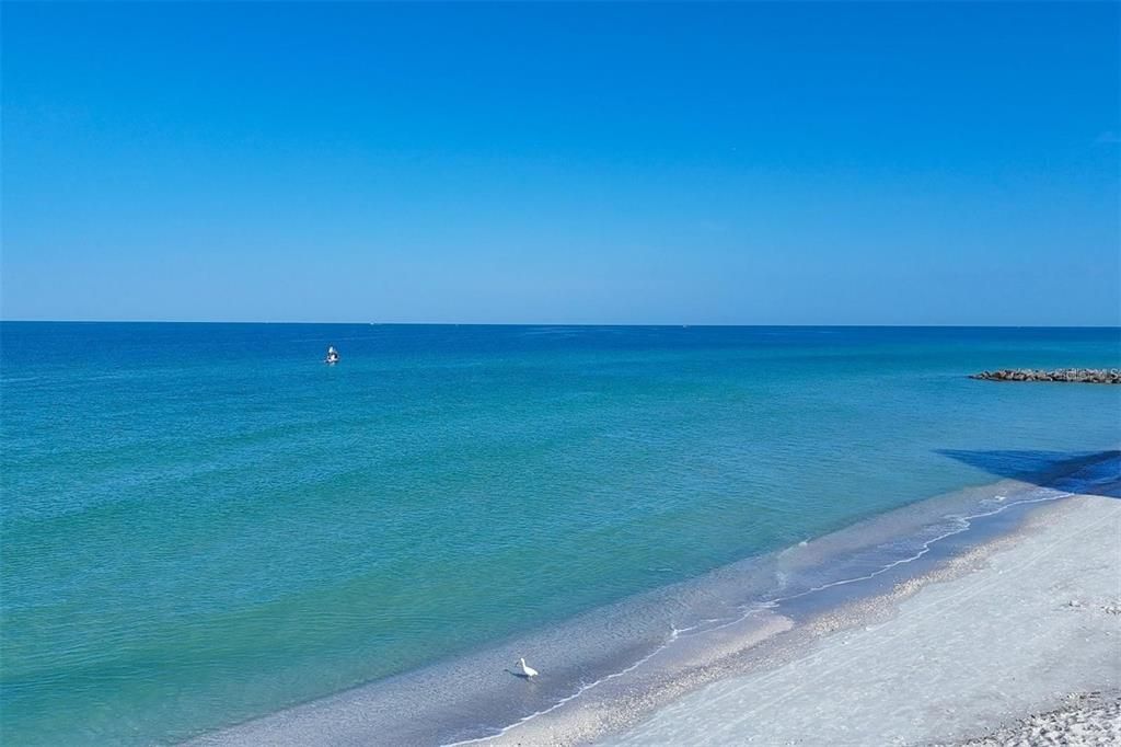 Activo con contrato: $2,500 (2 camas, 2 baños, 1172 Pies cuadrados)