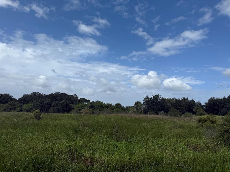 待售: $17,900 (1.25 acres)