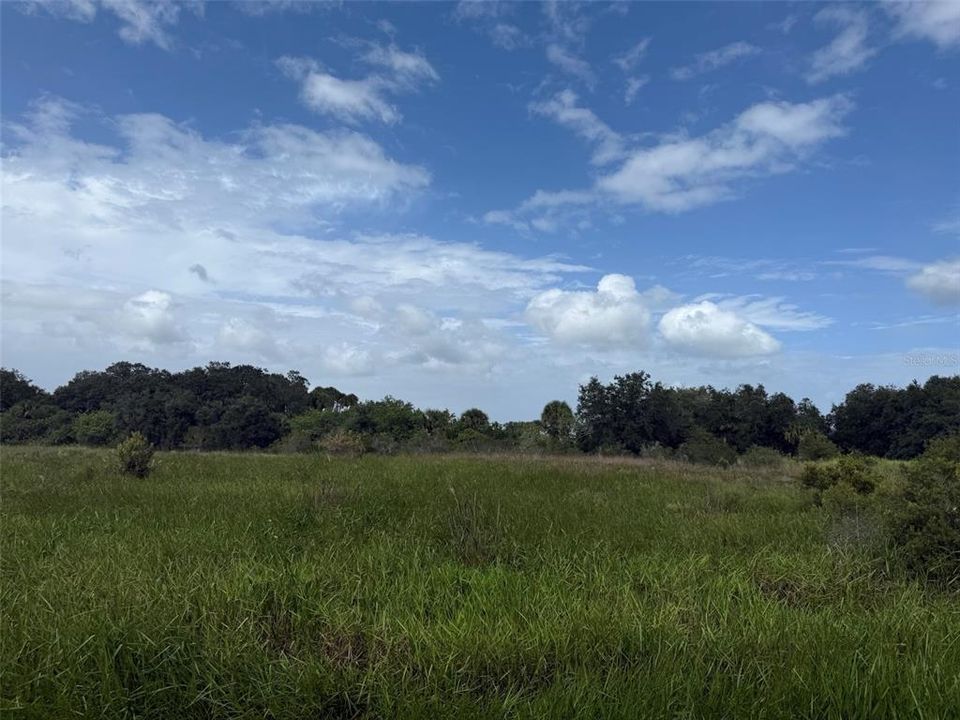 待售: $17,900 (1.25 acres)