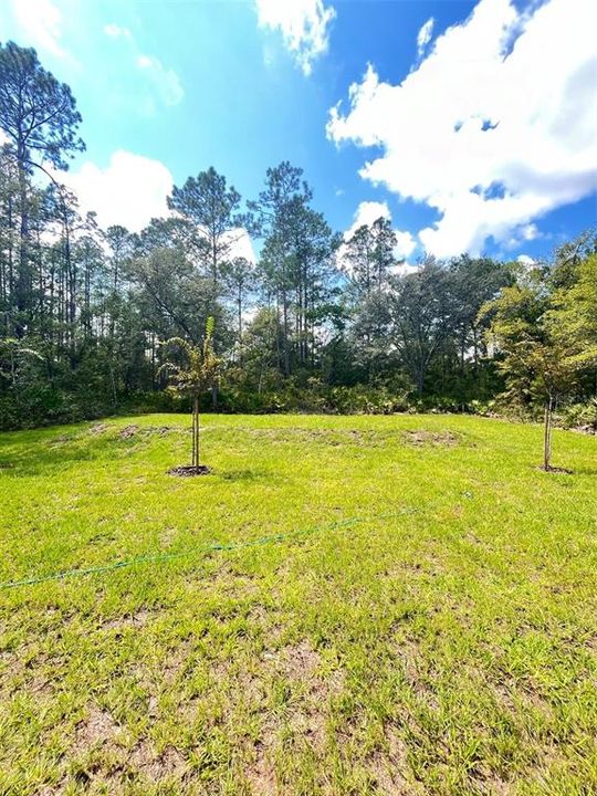 For Sale: $269,990 (3 beds, 2 baths, 1243 Square Feet)