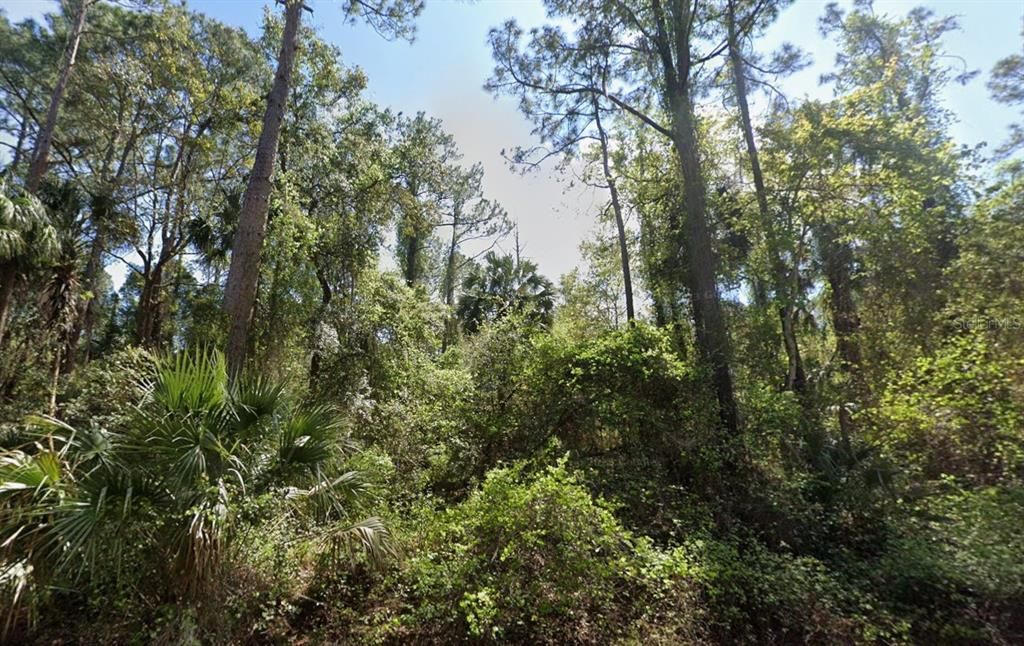 待售: $8,499 (0.23 acres)