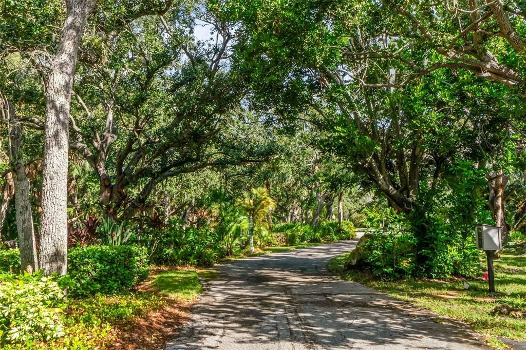 Active With Contract: $2,600 (3 beds, 2 baths, 1596 Square Feet)