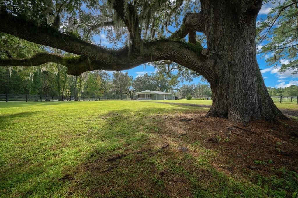 En Venta: $1,795,000 (3 camas, 2 baños, 2768 Pies cuadrados)