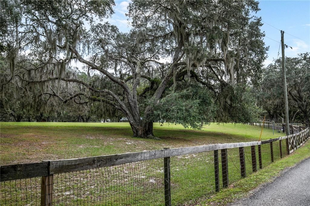 For Sale: $895,000 (1 beds, 1 baths, 789 Square Feet)