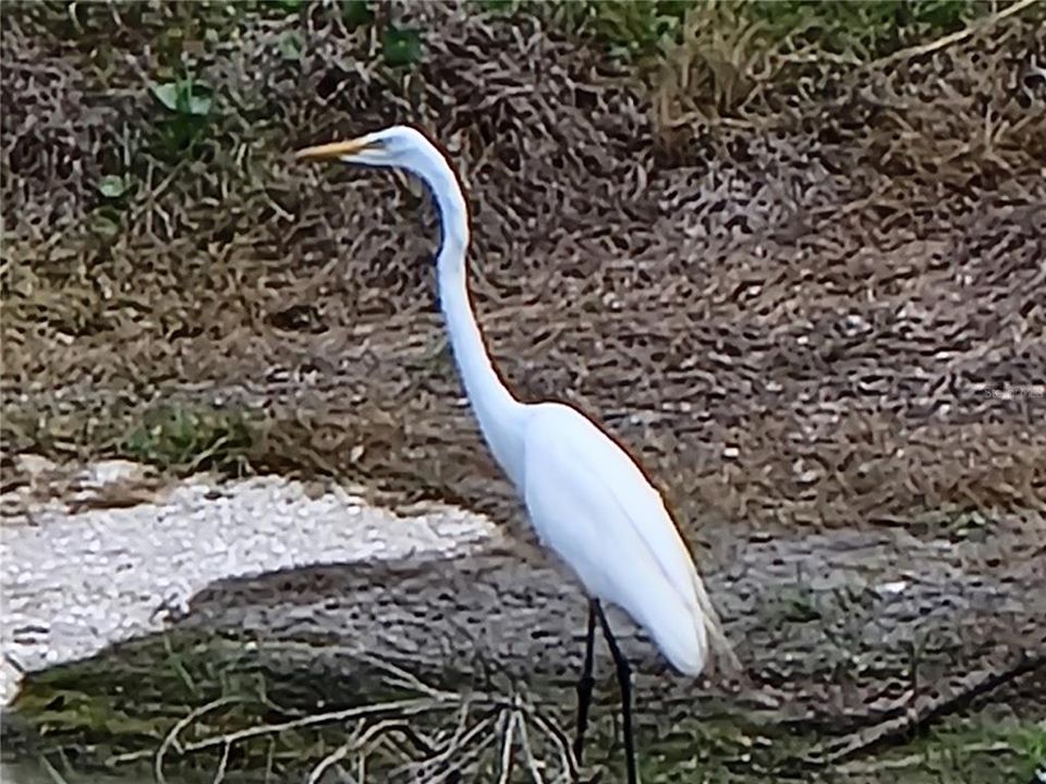 合同活跃: $349,000 (2 贝兹, 2 浴室, 2163 平方英尺)