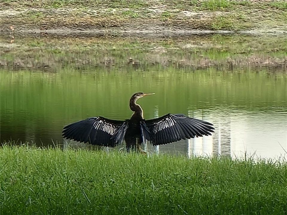 合同活跃: $349,000 (2 贝兹, 2 浴室, 2163 平方英尺)