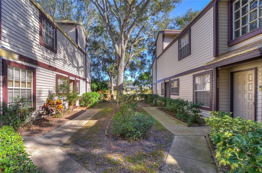 合同活跃: $259,000 (2 贝兹, 2 浴室, 1353 平方英尺)