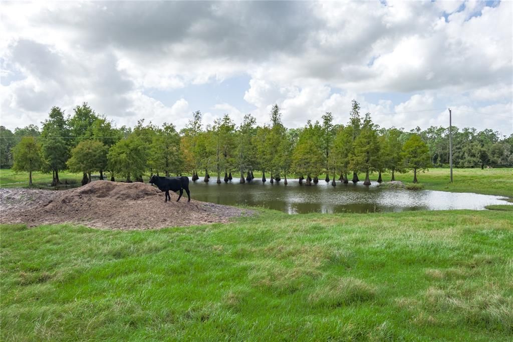 For Sale: $1,550,000 (4 beds, 3 baths, 2700 Square Feet)