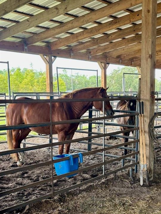 For Sale: $1,550,000 (4 beds, 3 baths, 2700 Square Feet)