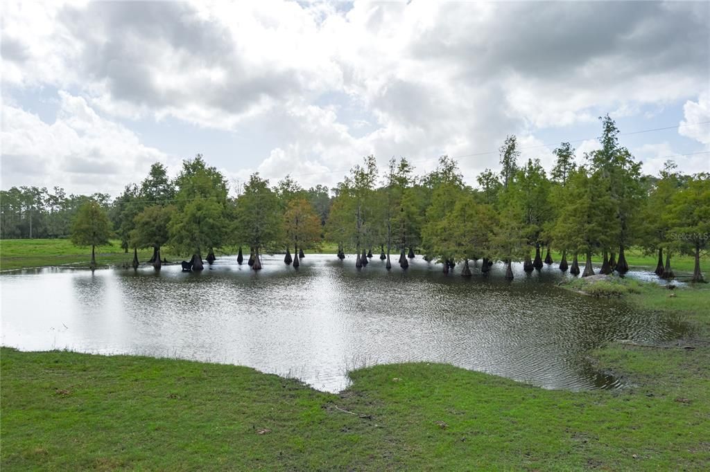 For Sale: $1,550,000 (4 beds, 3 baths, 2700 Square Feet)