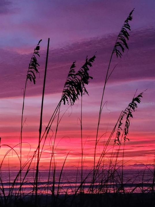 For Rent: $2,500 (2 beds, 2 baths, 1244 Square Feet)