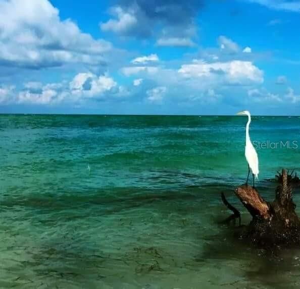 For Rent: $2,500 (2 beds, 2 baths, 1244 Square Feet)