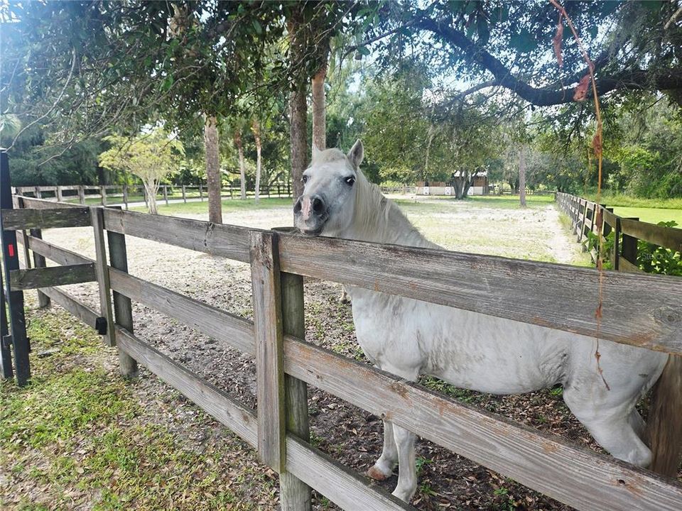 En Venta: $1,199,000 (5 camas, 5 baños, 4610 Pies cuadrados)