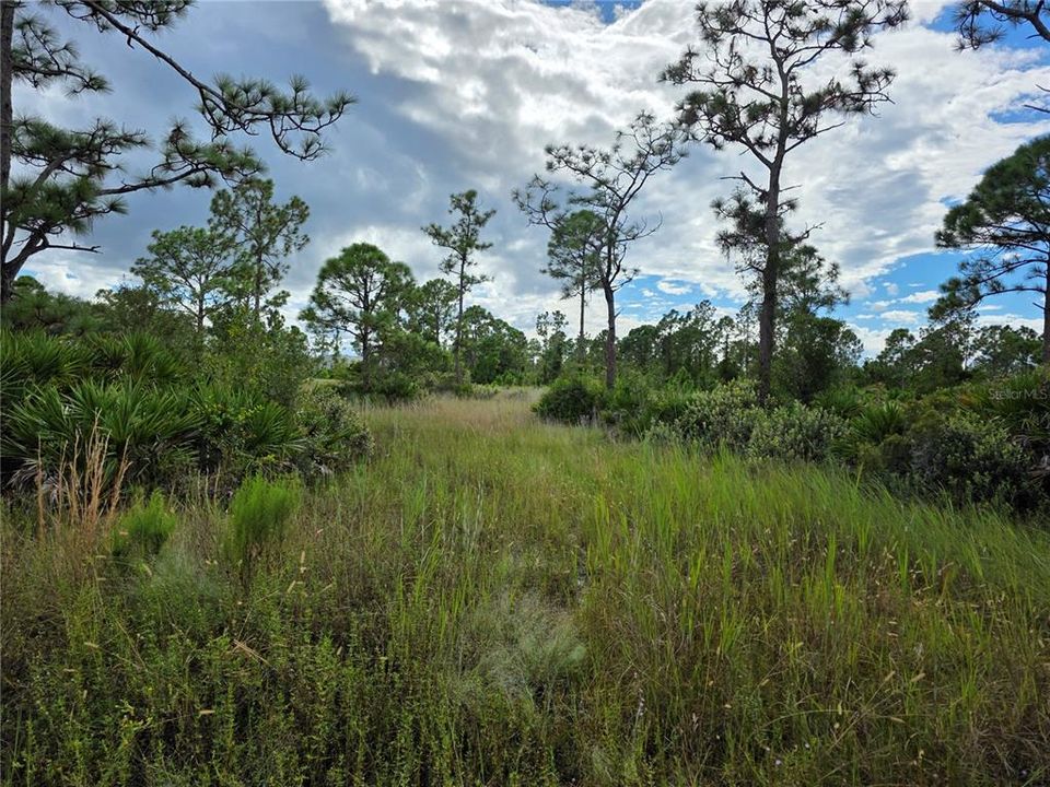 En Venta: $105,000 (1.25 acres)