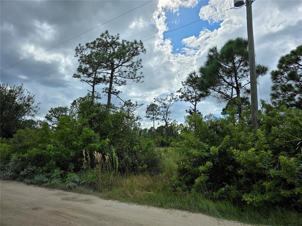 En Venta: $105,000 (1.25 acres)